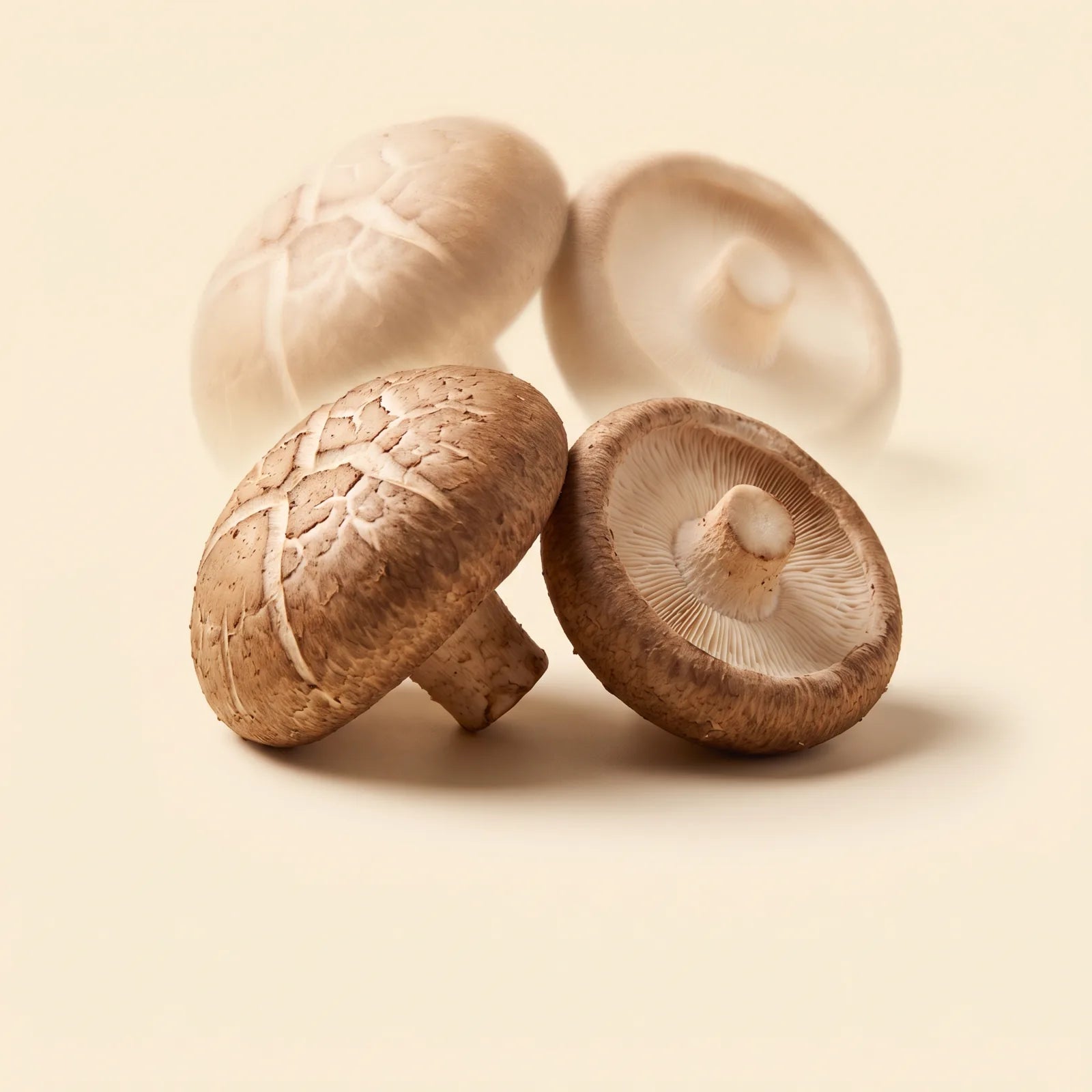 Shiitake mushrooms with tan caps on a warm neutral background